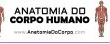 Anatomia do Corpo